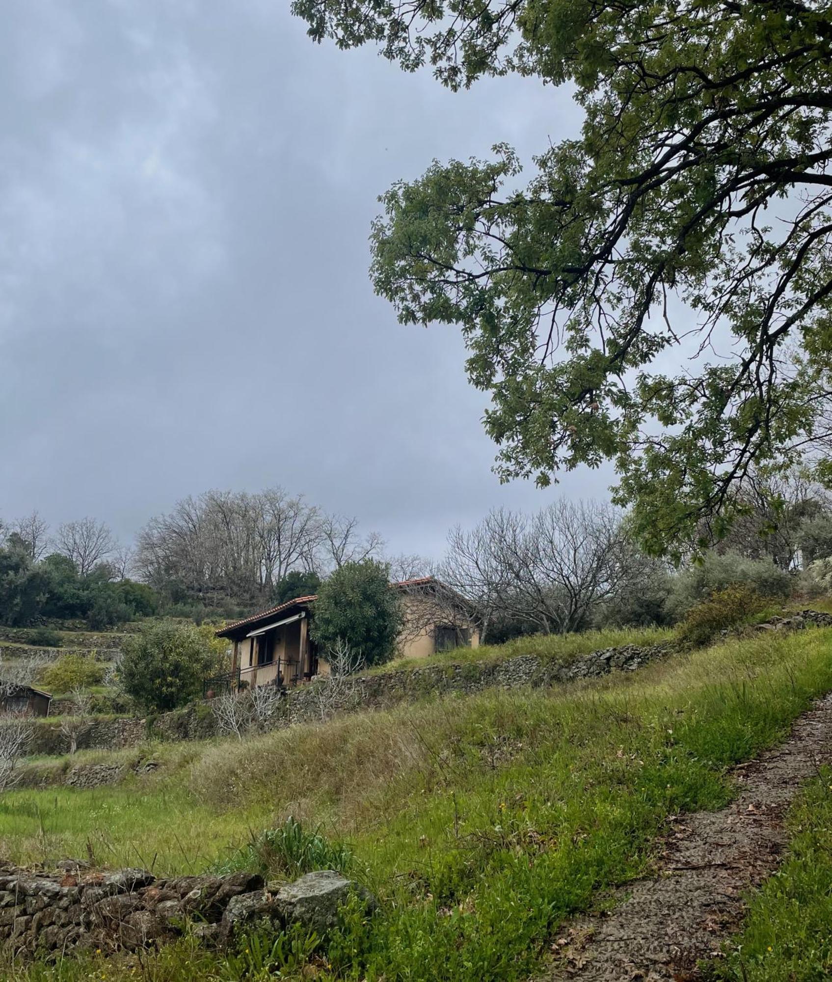 Vergel San Pedro Torremenga Luaran gambar